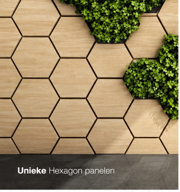 Hexagon – Akoestische wandpaneel - Rustiek Eiken 80 x 65 x 2cm