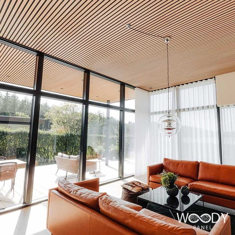 akupanel plafond