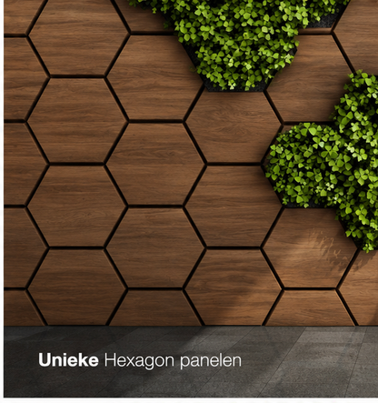 Hexagon – Akoestische wandpaneel - Walnoot Eiken 80 x 65 x 2cm