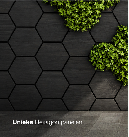 Hexagon – Akoestische wandpaneel - Zwart Eiken 80 x 65 x 2cm