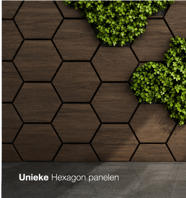 Hexagon – Akoestische wandpaneel - Gerookt Eiken 80 x 65 x 2cm
