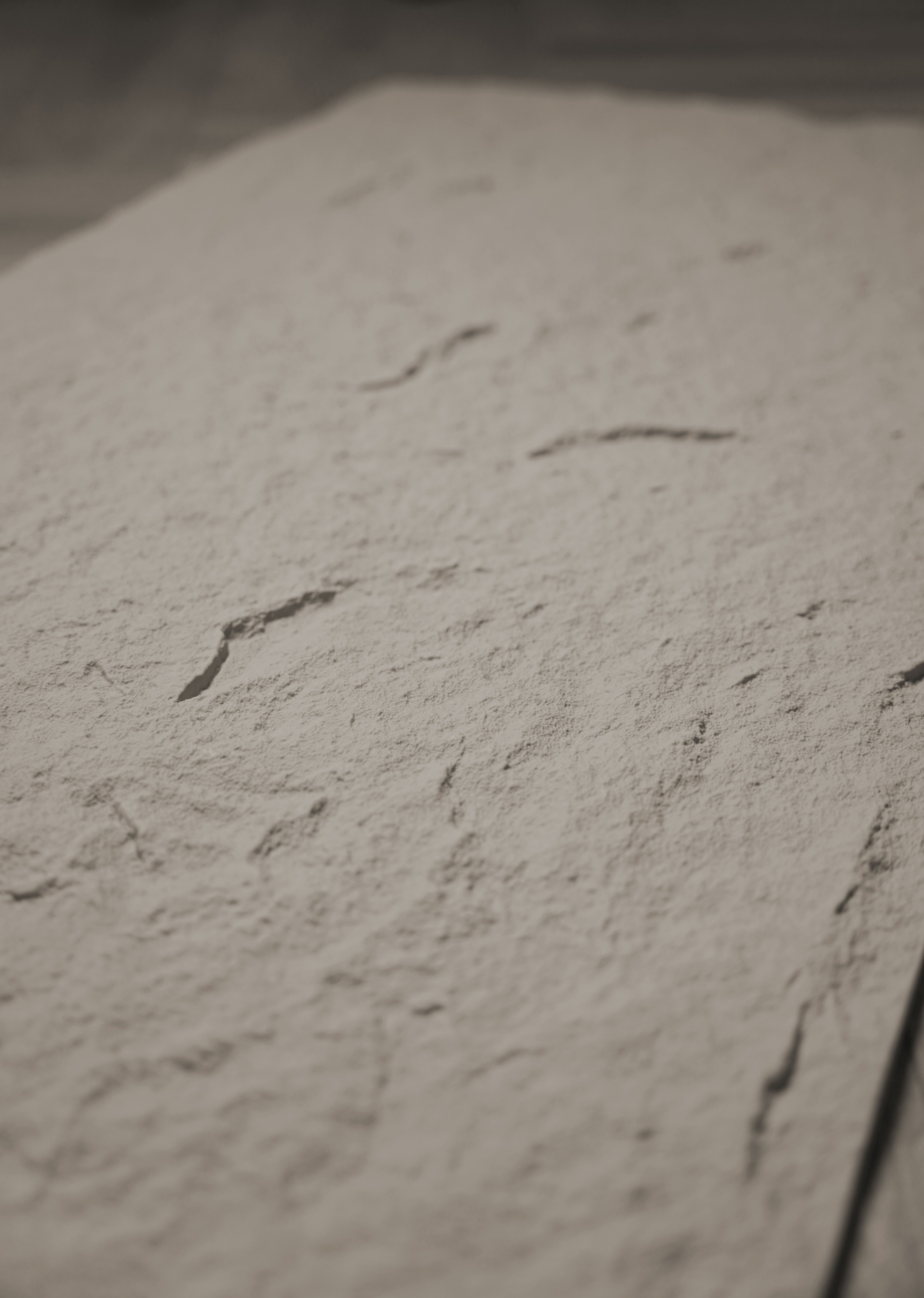 Rockstone 3D wandpaneel Rotswand Betonlook Cement Grey 120 x 60cm